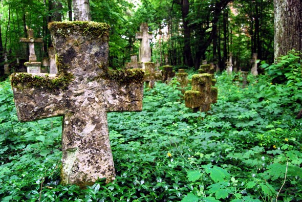 Wyróżnienie: Pozostałości cmentarza greckokatolickiego na terenie nieistniejącej już wsi Brusno Stare w gminie Horyniec-Zdrój.