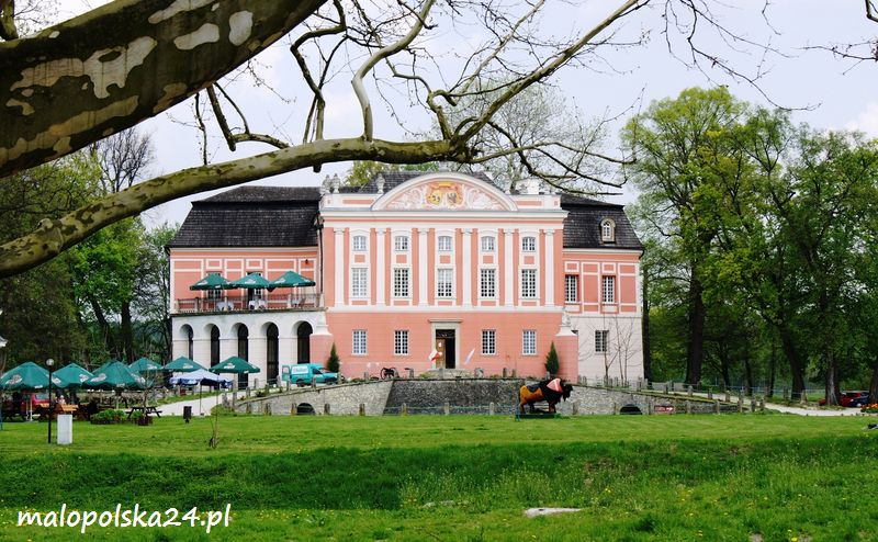 Pałac w Kurozwękach