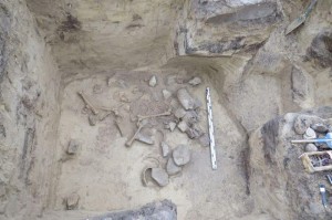 grób niepełnosprawnej sprzed 5 tys lat Swietokrzyskie