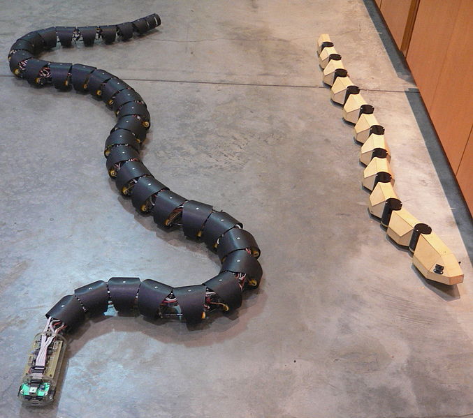 Dwa roboty naśladujące budową i sposobem poruszania się węże. Foto: Wikipedia.