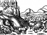 Smok wawelski na rycinie Sebastiana Münstera, Cosmographie Universalis.